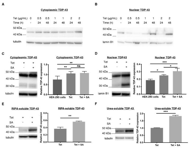 https://cdn.ncbi.nlm.nih.gov/pmc/blobs/887c/9738080/dc72e0dec878/ijms-23-14769-g001.jpg