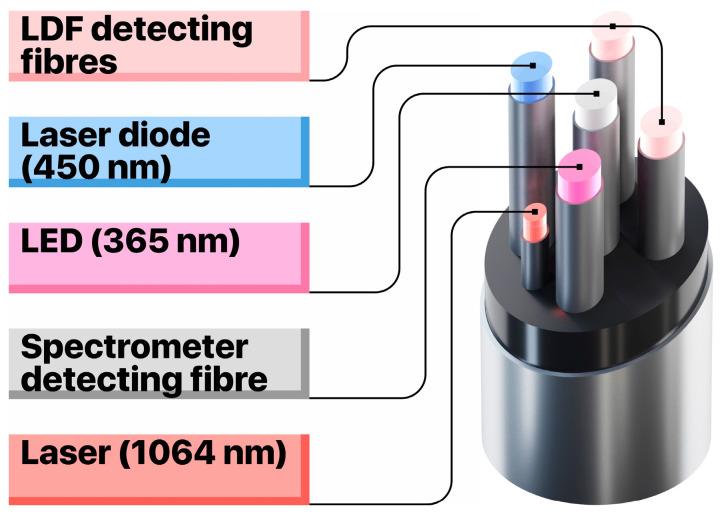 https://cdn.ncbi.nlm.nih.gov/pmc/blobs/887d/7693603/14c479cc2913/diagnostics-10-00873-g001.jpg