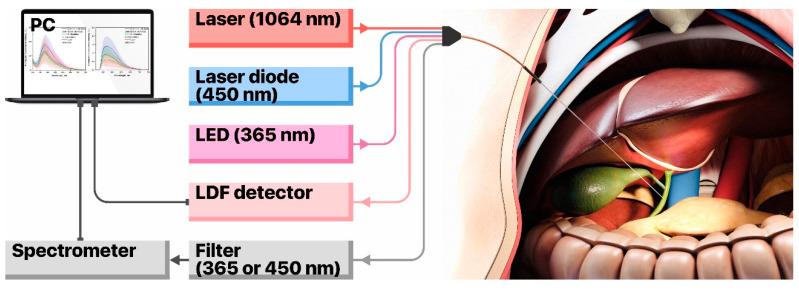 https://cdn.ncbi.nlm.nih.gov/pmc/blobs/887d/7693603/c1e02ebd1b57/diagnostics-10-00873-g002.jpg