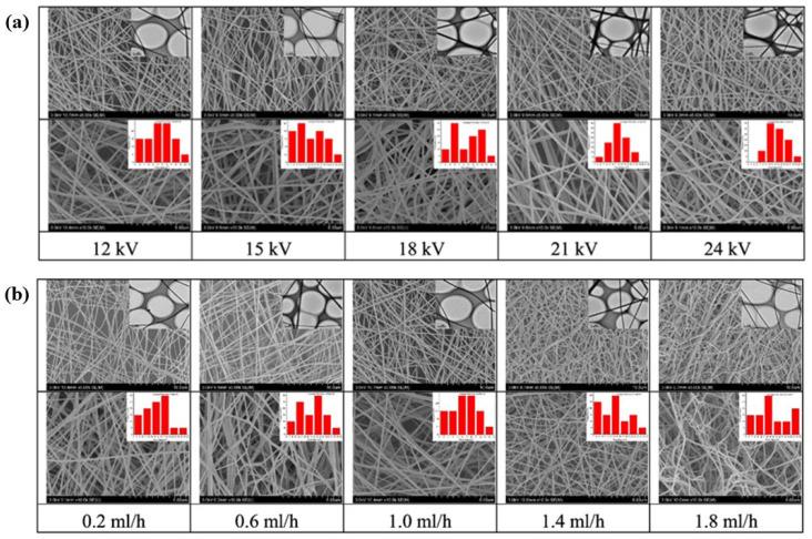 https://cdn.ncbi.nlm.nih.gov/pmc/blobs/8880/10144585/2b1a32cfb0fa/molecules-28-03288-g002.jpg