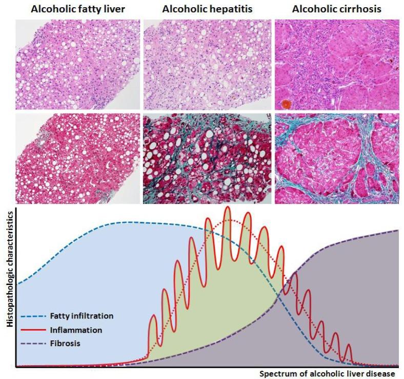 https://cdn.ncbi.nlm.nih.gov/pmc/blobs/8882/3796673/6a5be8d13e92/cmh-19-216-g002.jpg