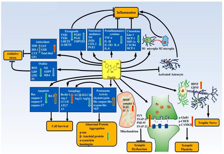 https://cdn.ncbi.nlm.nih.gov/pmc/blobs/8883/10669030/0855925777f4/biomedicines-11-02878-g002.jpg