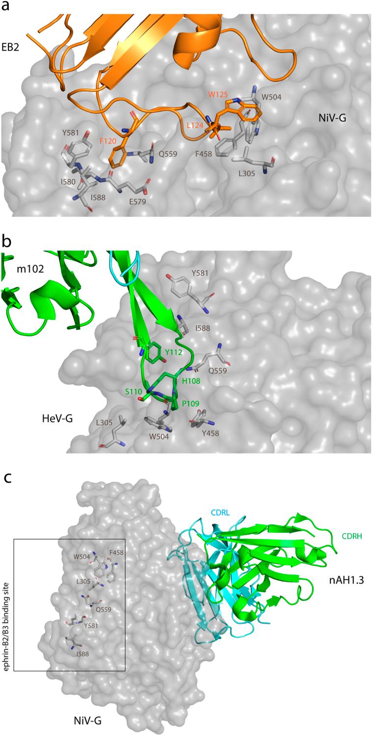 https://cdn.ncbi.nlm.nih.gov/pmc/blobs/8883/12208181/519e1d7551a1/eujmi-15-083-g001.jpg