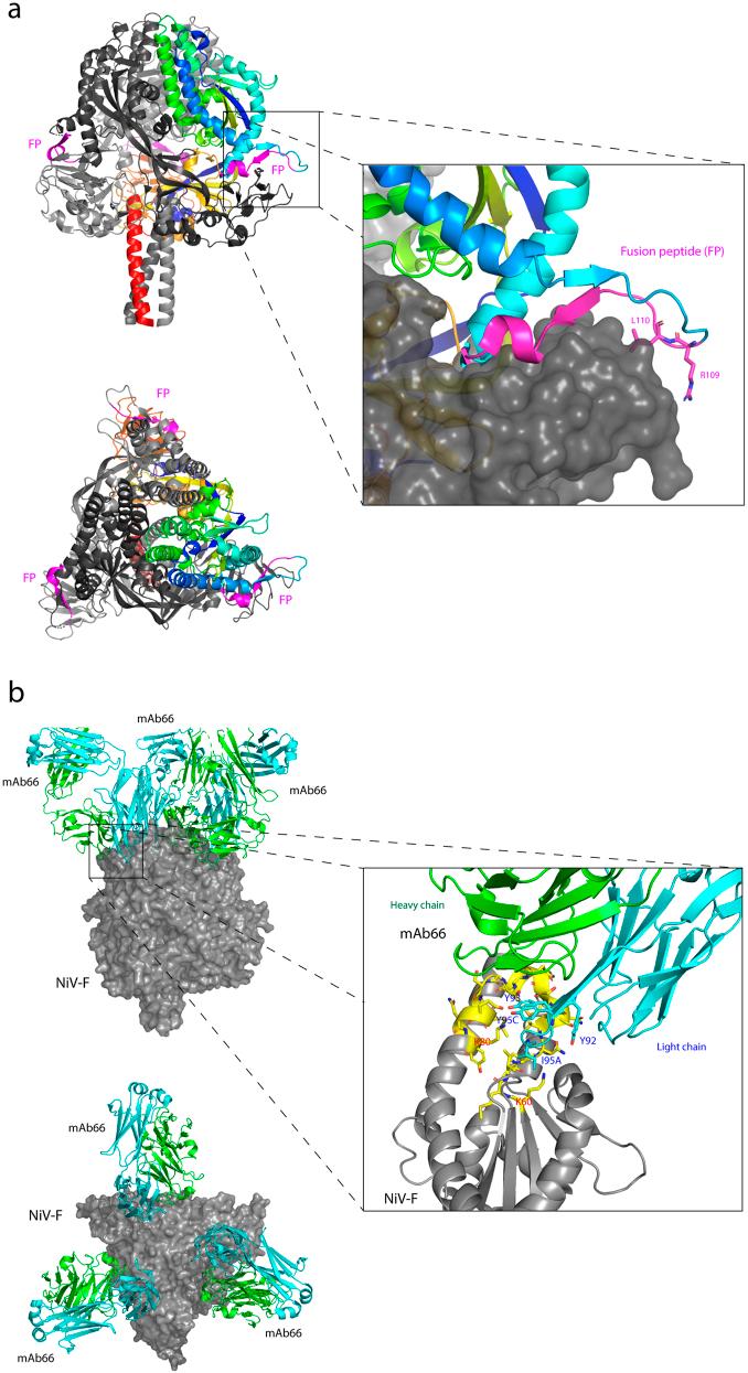 https://cdn.ncbi.nlm.nih.gov/pmc/blobs/8883/12208181/8e3649cca0d7/eujmi-15-083-g002.jpg