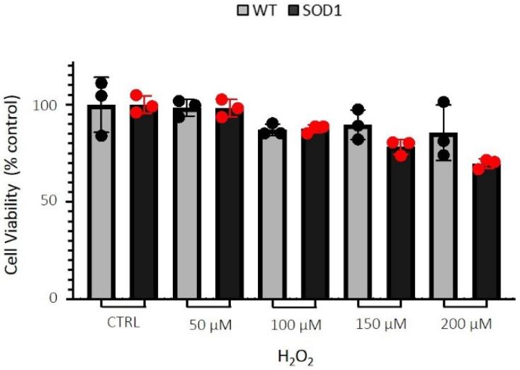https://cdn.ncbi.nlm.nih.gov/pmc/blobs/8883/9863688/0f9dfa30b24c/ijms-24-00993-g001.jpg