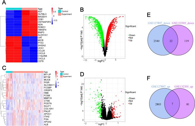 https://cdn.ncbi.nlm.nih.gov/pmc/blobs/8885/12011972/78a56e1f06f9/12032_2025_2719_Fig1_HTML.jpg