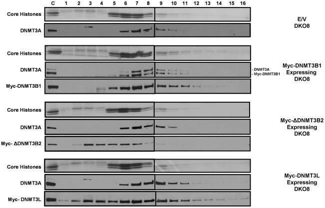 https://cdn.ncbi.nlm.nih.gov/pmc/blobs/8885/3033376/74098847a064/pgen.1001286.g004.jpg