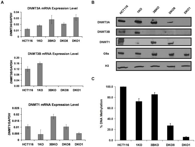 https://cdn.ncbi.nlm.nih.gov/pmc/blobs/8885/3033376/afbe43a9ba61/pgen.1001286.g001.jpg
