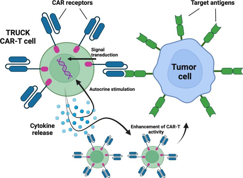 https://cdn.ncbi.nlm.nih.gov/pmc/blobs/8885/9650233/41fa3cdb8250/fimmu-13-1034707-g003.jpg