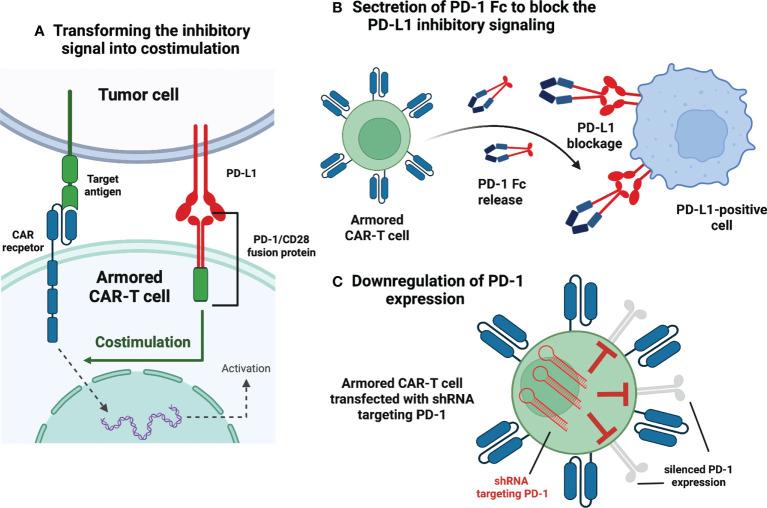 https://cdn.ncbi.nlm.nih.gov/pmc/blobs/8885/9650233/6c1593dd8cfc/fimmu-13-1034707-g002.jpg