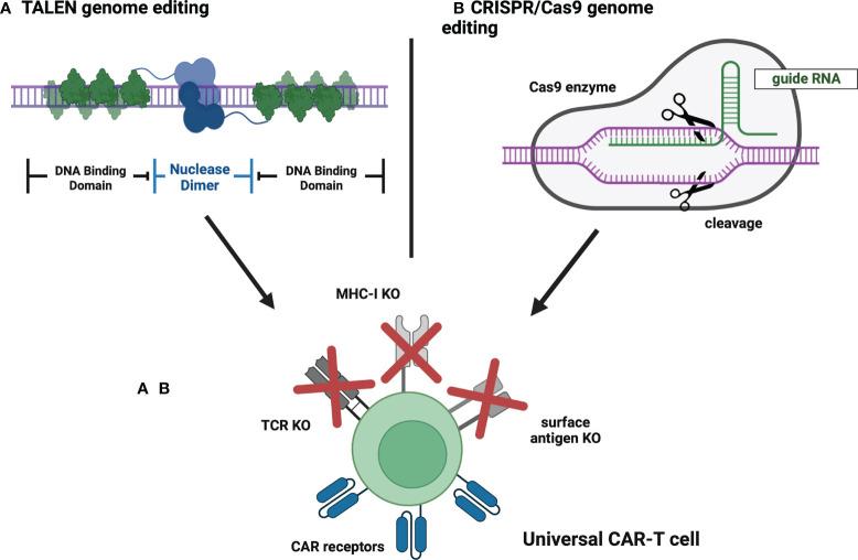 https://cdn.ncbi.nlm.nih.gov/pmc/blobs/8885/9650233/8ffc8abfc56f/fimmu-13-1034707-g005.jpg