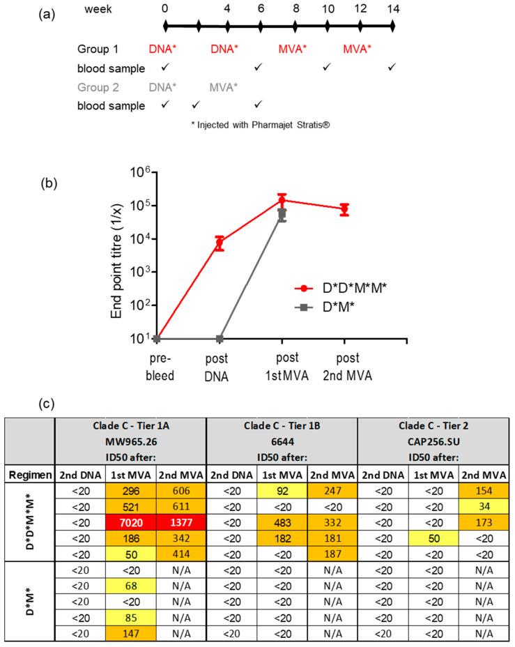 https://cdn.ncbi.nlm.nih.gov/pmc/blobs/8885/9965773/100151617bc7/vaccines-11-00376-g004.jpg