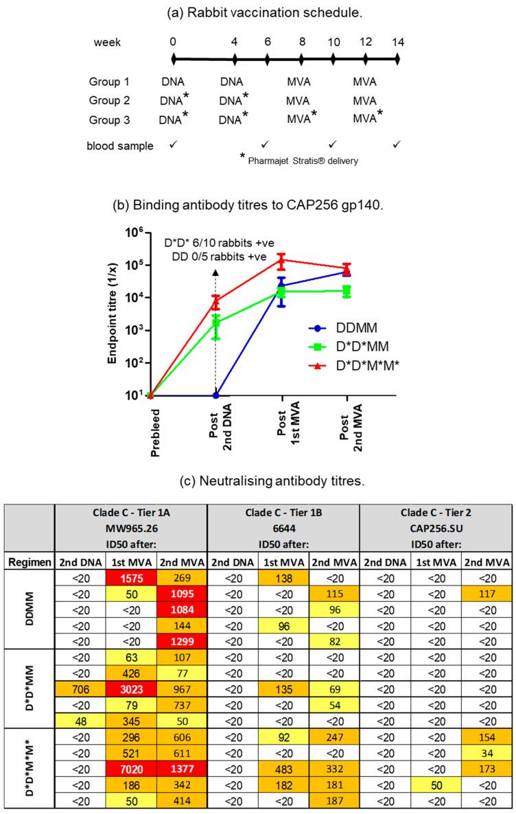 https://cdn.ncbi.nlm.nih.gov/pmc/blobs/8885/9965773/b1c90e3f87c6/vaccines-11-00376-g002.jpg