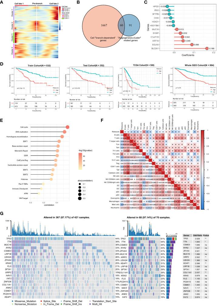 https://cdn.ncbi.nlm.nih.gov/pmc/blobs/8886/10882092/09d5c71db1b7/fimmu-15-1352893-g006.jpg