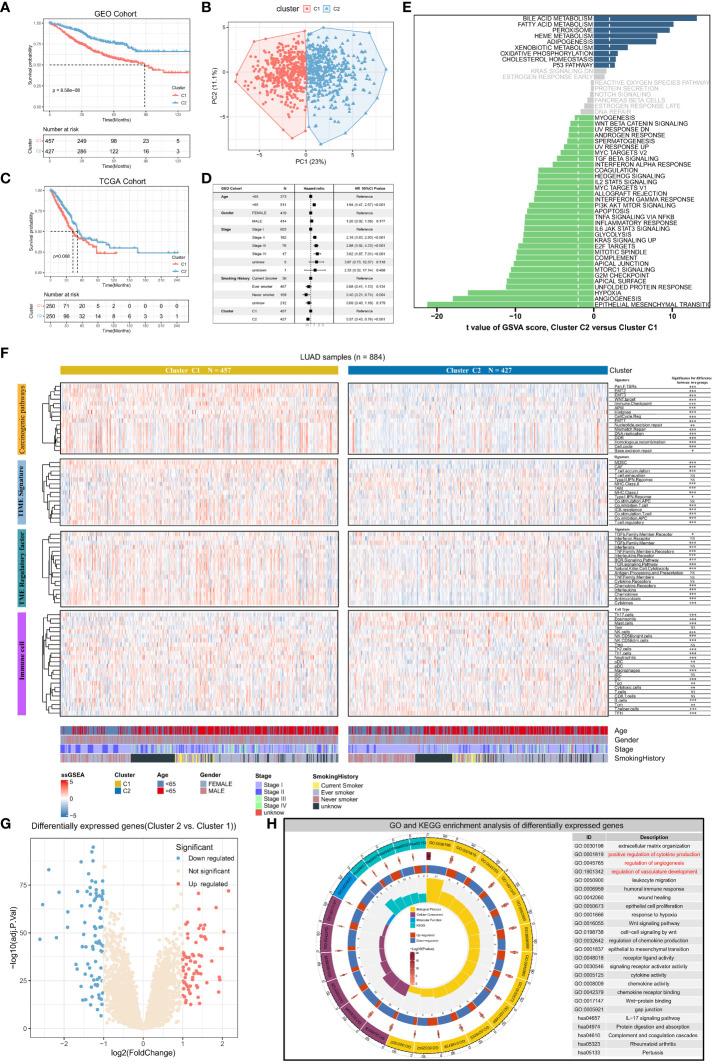 https://cdn.ncbi.nlm.nih.gov/pmc/blobs/8886/10882092/57c2cb28d4b7/fimmu-15-1352893-g002.jpg