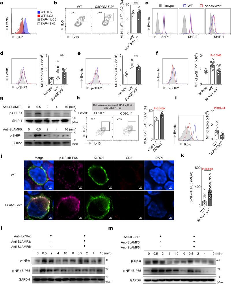 https://cdn.ncbi.nlm.nih.gov/pmc/blobs/8888/11176369/86a95ffa301c/41467_2024_49466_Fig7_HTML.jpg