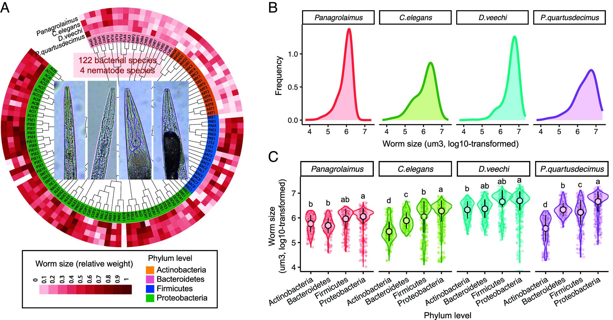 https://cdn.ncbi.nlm.nih.gov/pmc/blobs/8889/11670093/9543867c12ce/pnas.2410210121fig01.jpg