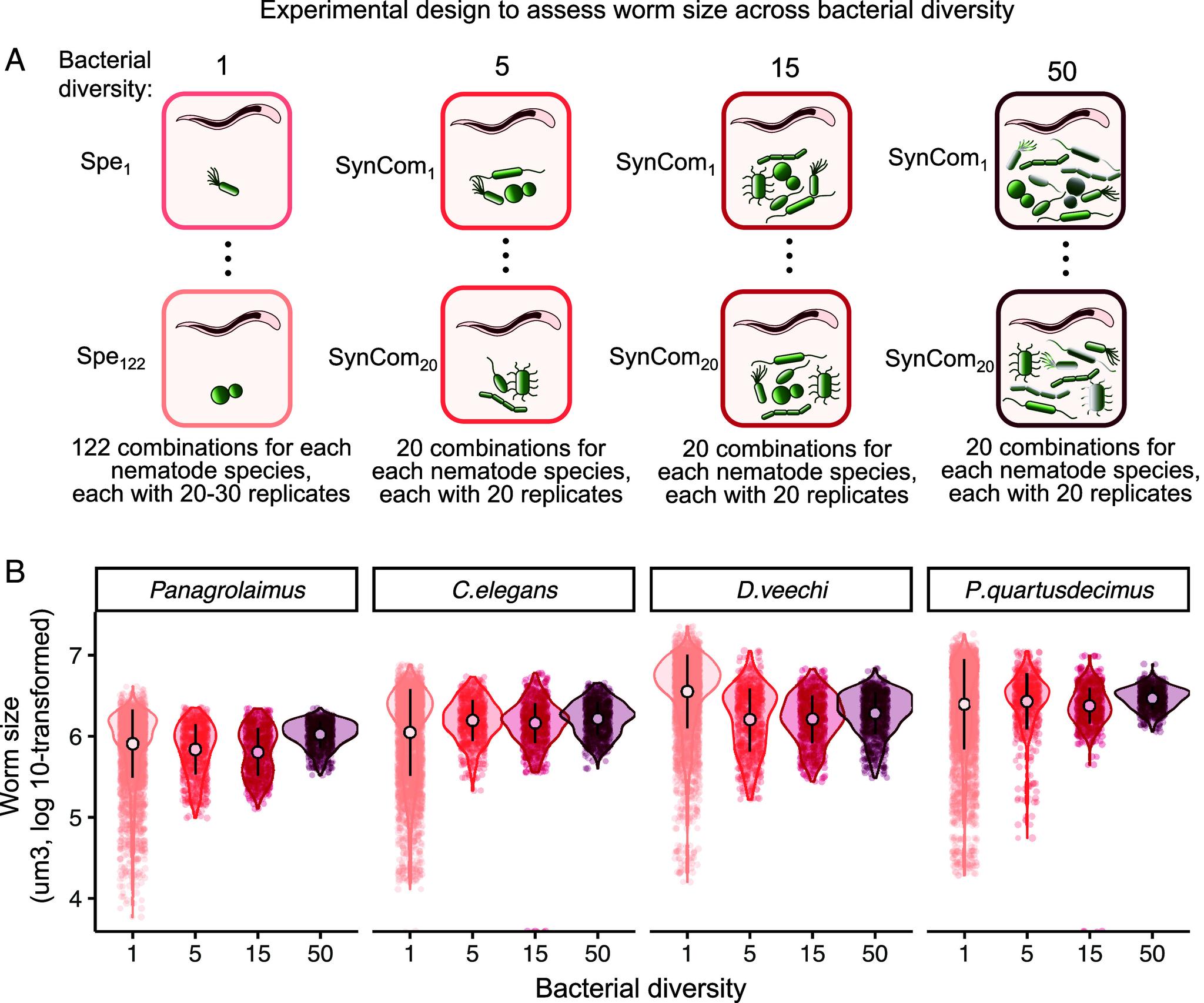 https://cdn.ncbi.nlm.nih.gov/pmc/blobs/8889/11670093/e861e85de45a/pnas.2410210121fig02.jpg