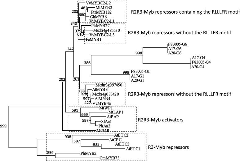 https://cdn.ncbi.nlm.nih.gov/pmc/blobs/888a/7642937/0c6d0eeaa70b/4159f4.jpg