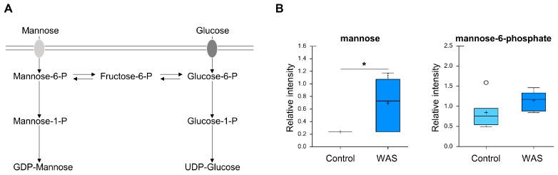 https://cdn.ncbi.nlm.nih.gov/pmc/blobs/888c/10052811/3c40c16d1183/metabolites-13-00453-g009.jpg