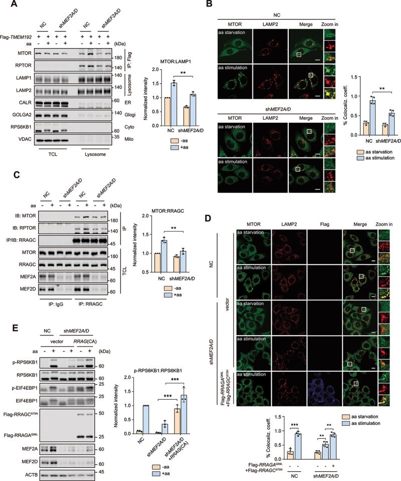 https://cdn.ncbi.nlm.nih.gov/pmc/blobs/888c/10936626/3c23919cefe4/KAUP_A_2259735_F0003_C.jpg
