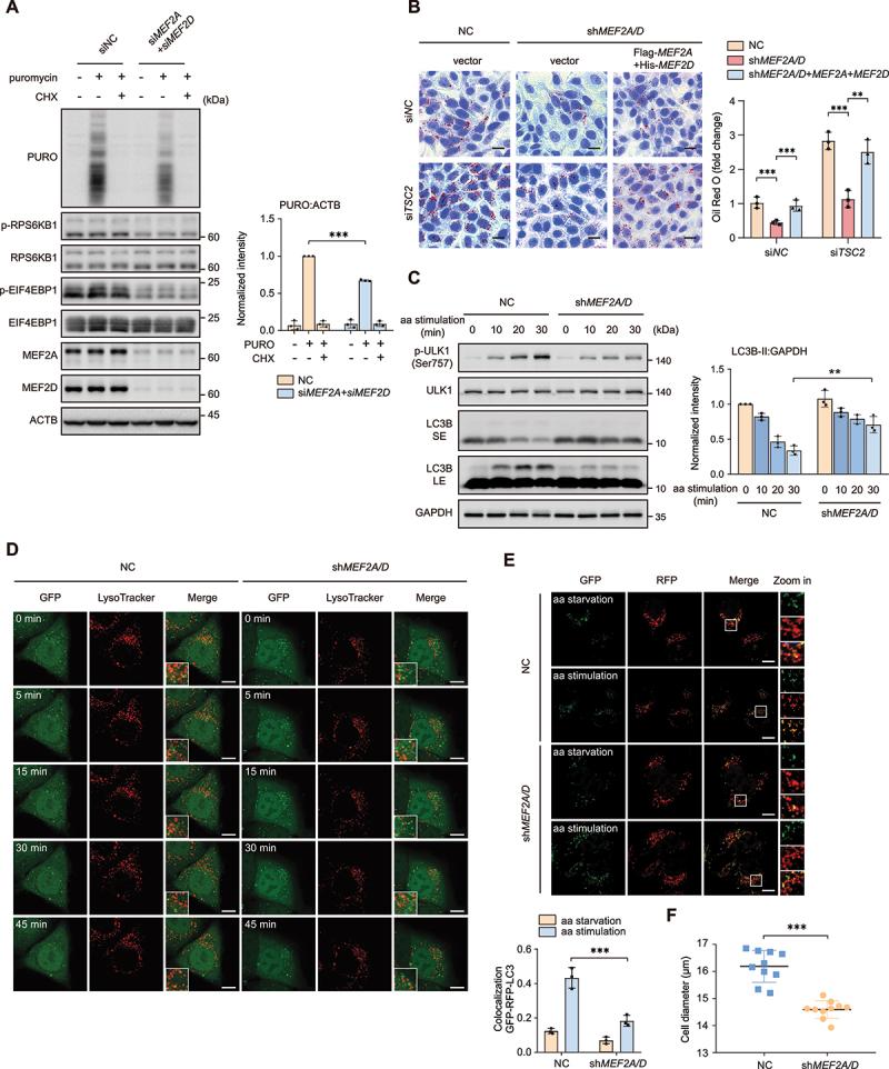 https://cdn.ncbi.nlm.nih.gov/pmc/blobs/888c/10936626/7138cfb933dc/KAUP_A_2259735_F0002_C.jpg