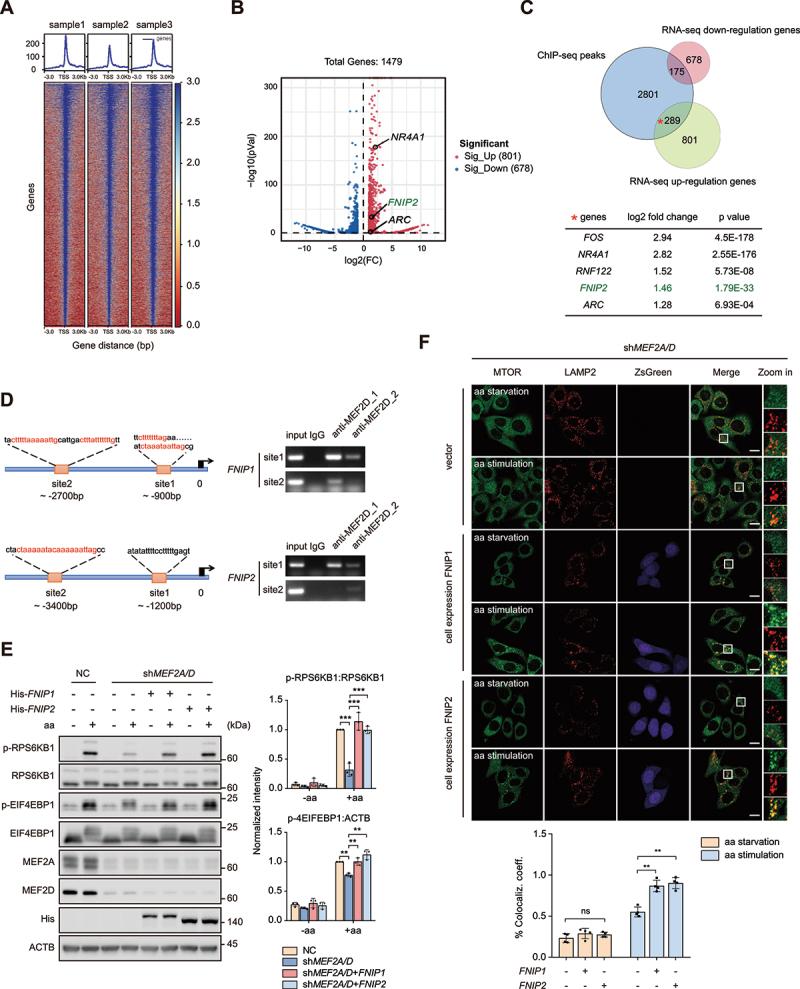https://cdn.ncbi.nlm.nih.gov/pmc/blobs/888c/10936626/a55c073cea98/KAUP_A_2259735_F0004_C.jpg