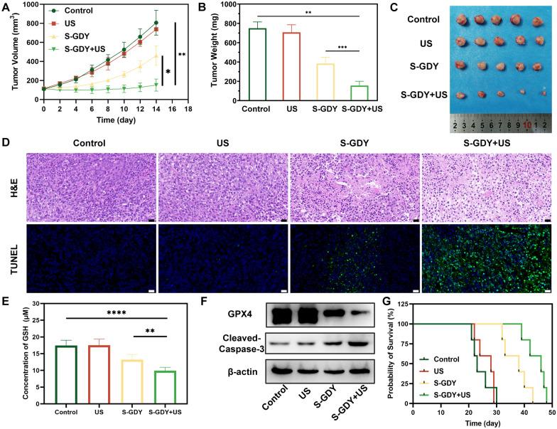 https://cdn.ncbi.nlm.nih.gov/pmc/blobs/888e/10474662/2a9facfd35a5/12951_2023_2059_Fig5_HTML.jpg