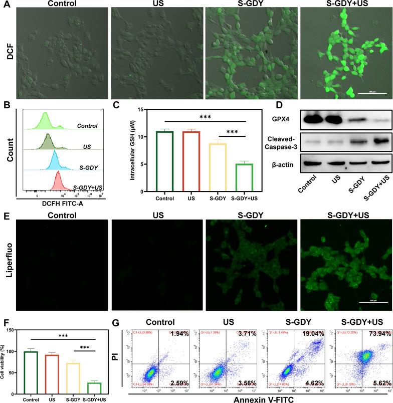 https://cdn.ncbi.nlm.nih.gov/pmc/blobs/888e/10474662/59c86cb38977/12951_2023_2059_Fig4_HTML.jpg