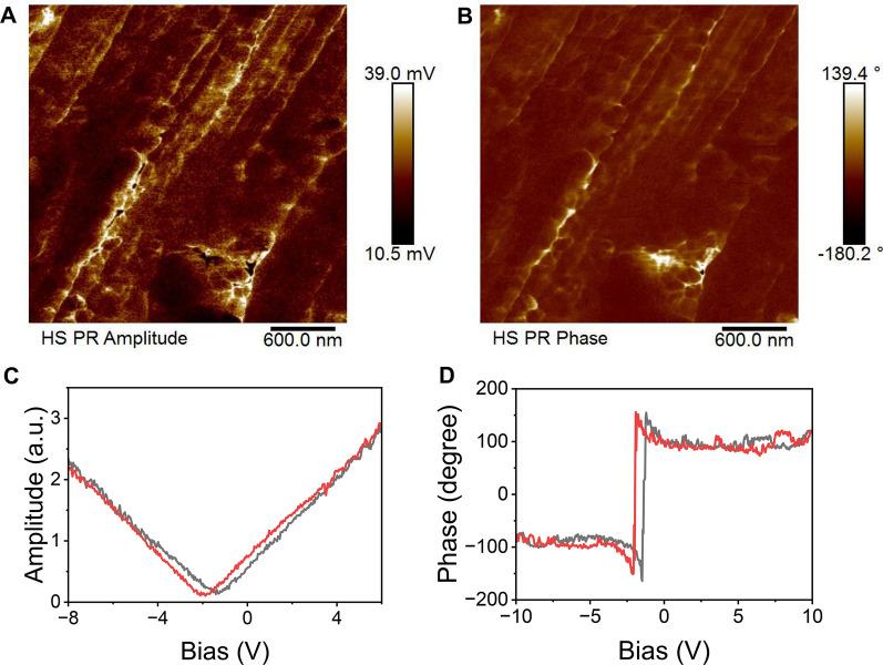 https://cdn.ncbi.nlm.nih.gov/pmc/blobs/888e/10474662/7fbc817179af/12951_2023_2059_Fig2_HTML.jpg