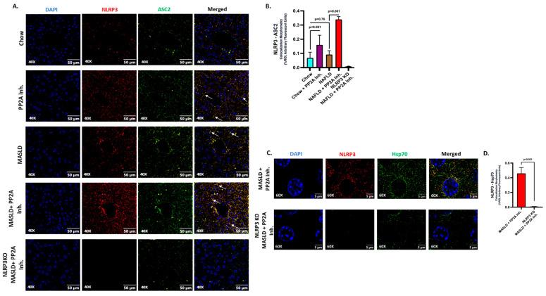 https://cdn.ncbi.nlm.nih.gov/pmc/blobs/888e/10671242/24a53e1cfac1/ijms-24-16354-g002.jpg