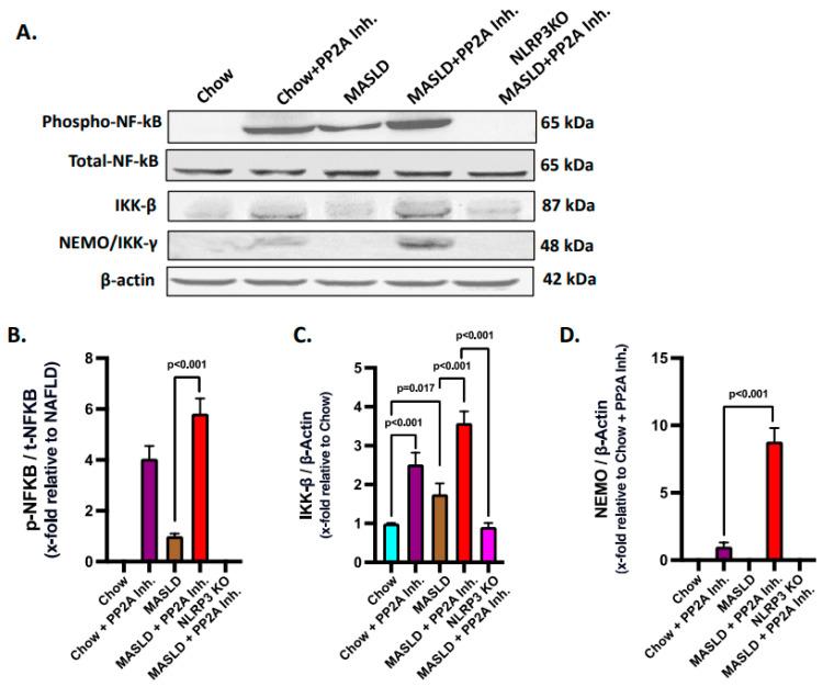 https://cdn.ncbi.nlm.nih.gov/pmc/blobs/888e/10671242/fdd79c2a7ddf/ijms-24-16354-g005.jpg
