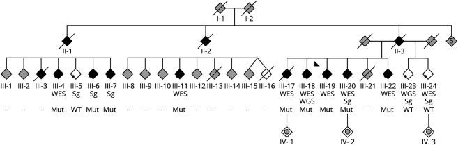 https://cdn.ncbi.nlm.nih.gov/pmc/blobs/888e/7958314/bcf2011bdd69/NG2020014639f1.jpg