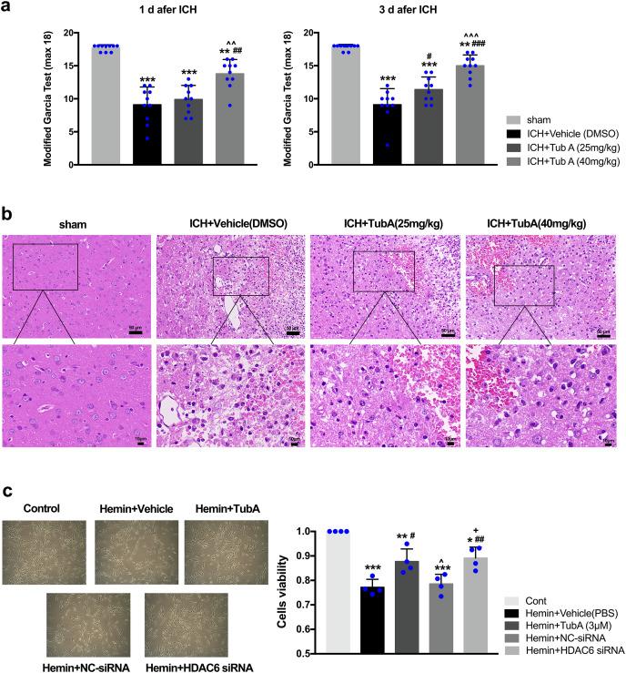 https://cdn.ncbi.nlm.nih.gov/pmc/blobs/8890/10150719/031c6eb32b7c/peerj-11-15293-g004.jpg