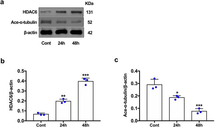 https://cdn.ncbi.nlm.nih.gov/pmc/blobs/8890/10150719/9b18ae8fd015/peerj-11-15293-g002.jpg