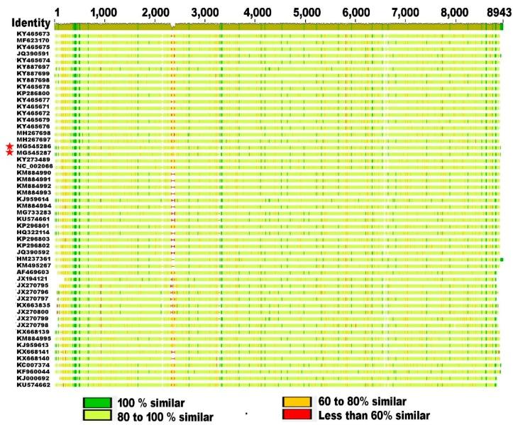 https://cdn.ncbi.nlm.nih.gov/pmc/blobs/8891/6357158/13517238d22e/viruses-11-00061-g002.jpg