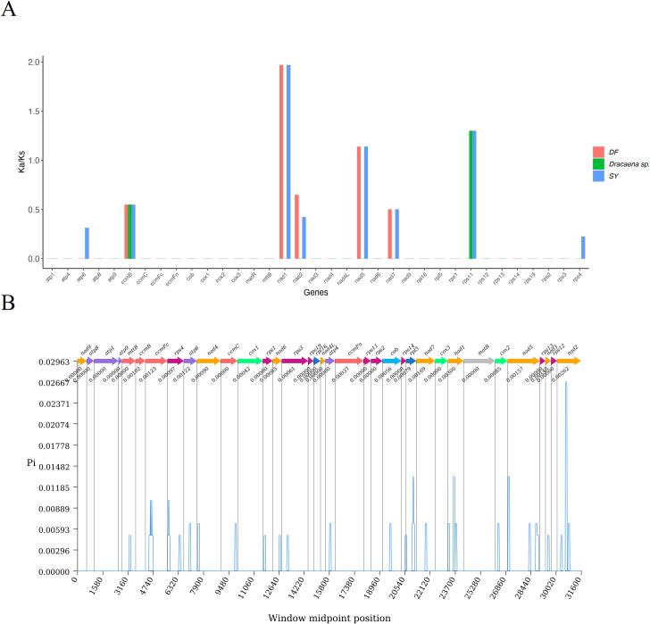 https://cdn.ncbi.nlm.nih.gov/pmc/blobs/8893/12237934/f82dba9e96d8/fpls-16-1620721-g007.jpg