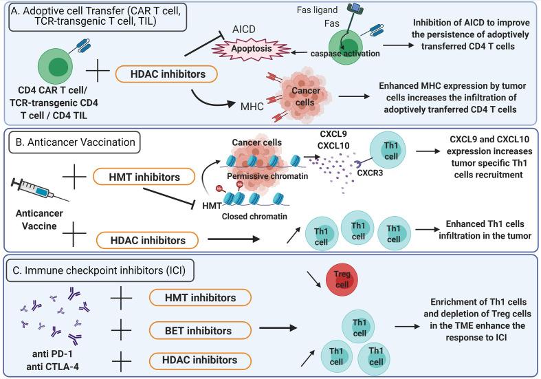 https://cdn.ncbi.nlm.nih.gov/pmc/blobs/8894/8273698/2b93bc4544ef/fimmu-12-669992-g003.jpg