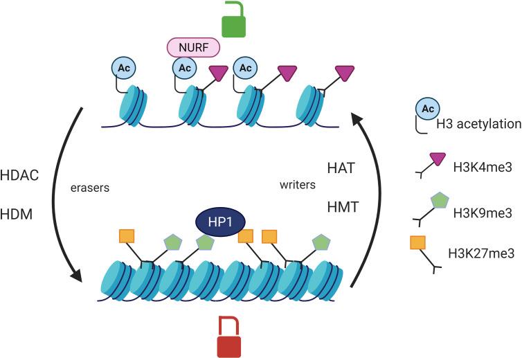 https://cdn.ncbi.nlm.nih.gov/pmc/blobs/8894/8273698/e9cab19b09c0/fimmu-12-669992-g001.jpg