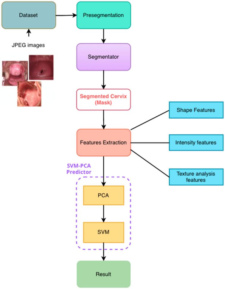 https://cdn.ncbi.nlm.nih.gov/pmc/blobs/8894/9324247/3004a72e7d6d/diagnostics-12-01694-g001.jpg
