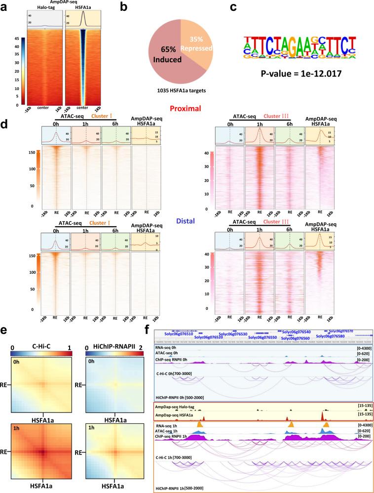 https://cdn.ncbi.nlm.nih.gov/pmc/blobs/8894/9884265/a9e427ac9d60/41467_2023_36227_Fig4_HTML.jpg