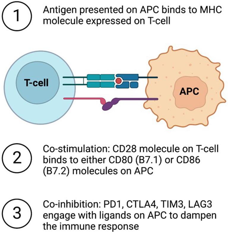https://cdn.ncbi.nlm.nih.gov/pmc/blobs/8896/10571054/a605bbb29596/cdr-6-3-674.fig.1.jpg