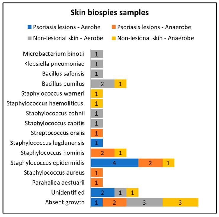 https://cdn.ncbi.nlm.nih.gov/pmc/blobs/8896/11477231/9abedccb3f42/ijms-25-10583-g003.jpg