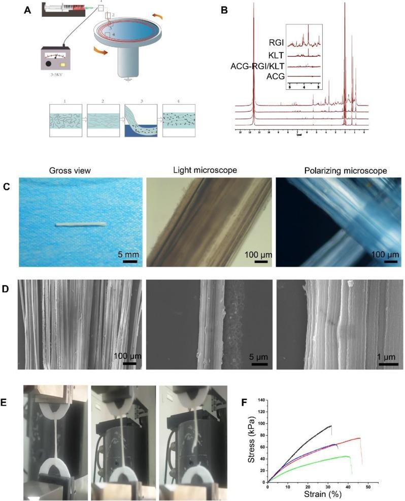 https://cdn.ncbi.nlm.nih.gov/pmc/blobs/8897/6993237/5c614c9ace03/thnov10p1590g001.jpg