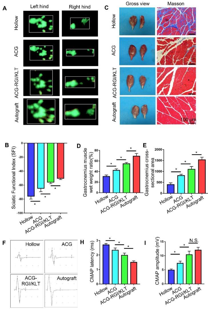 https://cdn.ncbi.nlm.nih.gov/pmc/blobs/8897/6993237/5f102093838d/thnov10p1590g006.jpg