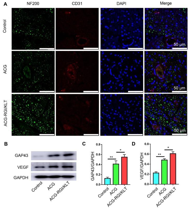 https://cdn.ncbi.nlm.nih.gov/pmc/blobs/8897/6993237/b2397c663eca/thnov10p1590g007.jpg