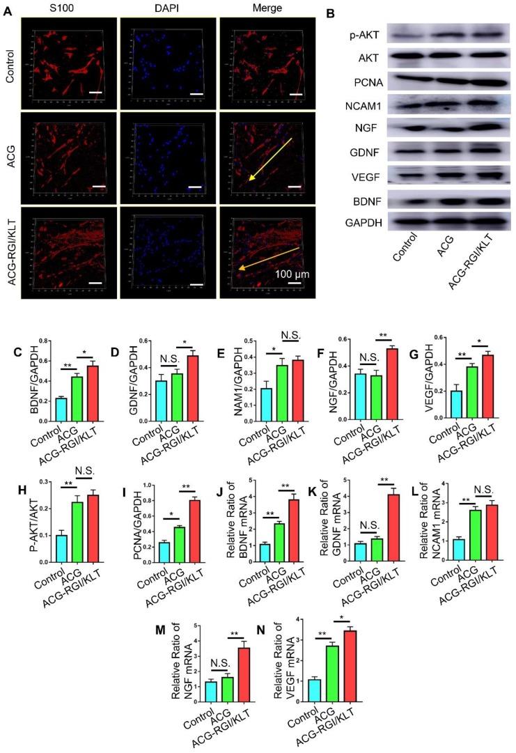 https://cdn.ncbi.nlm.nih.gov/pmc/blobs/8897/6993237/cc546a7de02b/thnov10p1590g003.jpg