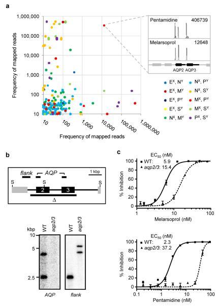 https://cdn.ncbi.nlm.nih.gov/pmc/blobs/8898/3303116/b6c792a974c1/ukmss-40204-f0003.jpg