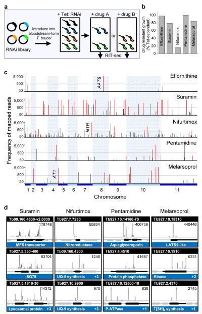 https://cdn.ncbi.nlm.nih.gov/pmc/blobs/8898/3303116/e0d1de54d1e4/ukmss-40204-f0001.jpg