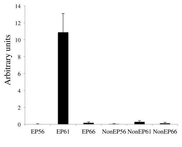 https://cdn.ncbi.nlm.nih.gov/pmc/blobs/8898/3874607/53c2f285ac65/2045-3701-3-43-3.jpg